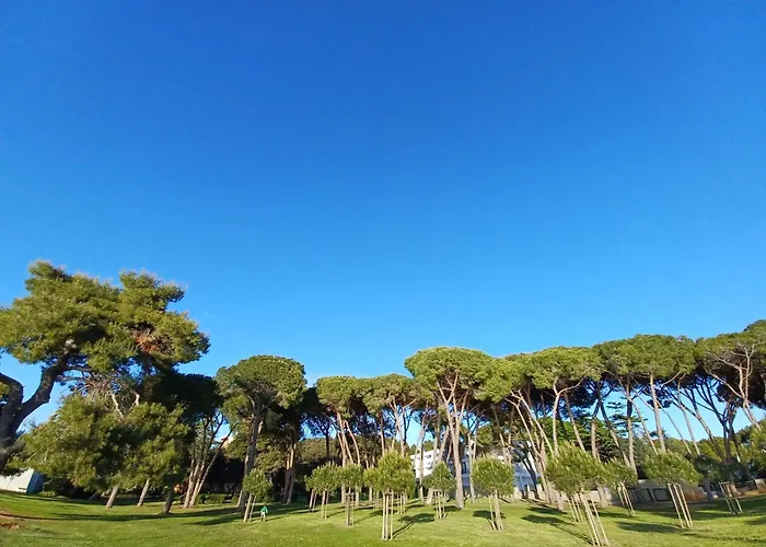 Ryanair'S 2026 Family Choice Zadar Apartment
