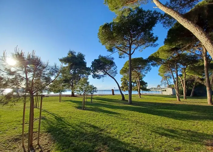 Apartment Ryanair'S 2026 Family Choice Zadar