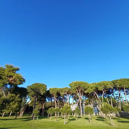 Ryanair'S September Top Choice Zadar Apartment