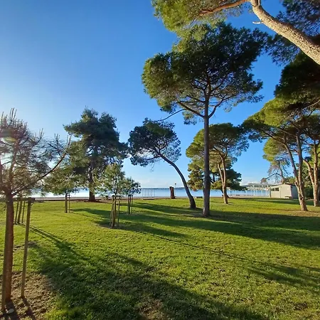 Apartment Ryanair'S September Top Choice Zadar