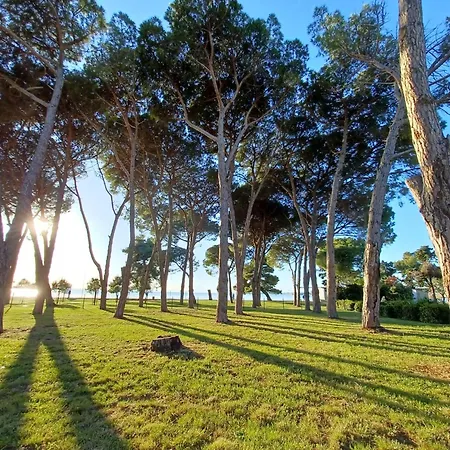 Ryanair's 2026 Family Choice Daire *