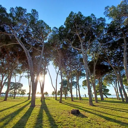 Ryanair's 2026 Family Choice Zadar