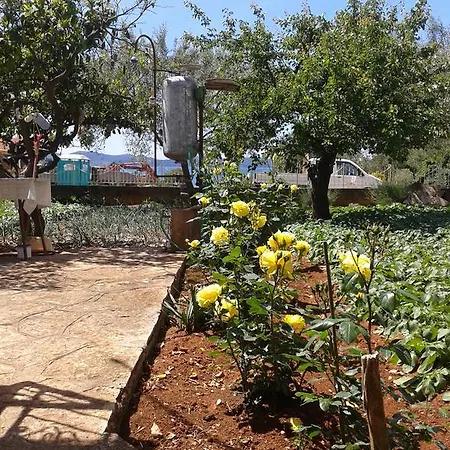 Daire Ryanair's 2026 Family Choice